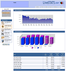 Web Statistik Screenshot